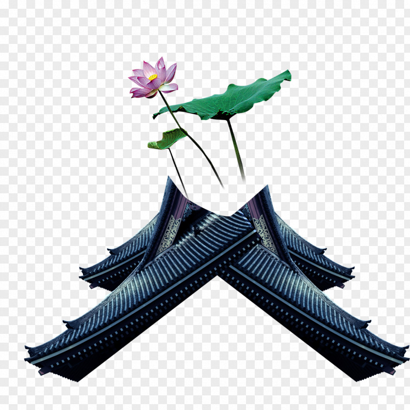 Lotus Computer File PNG