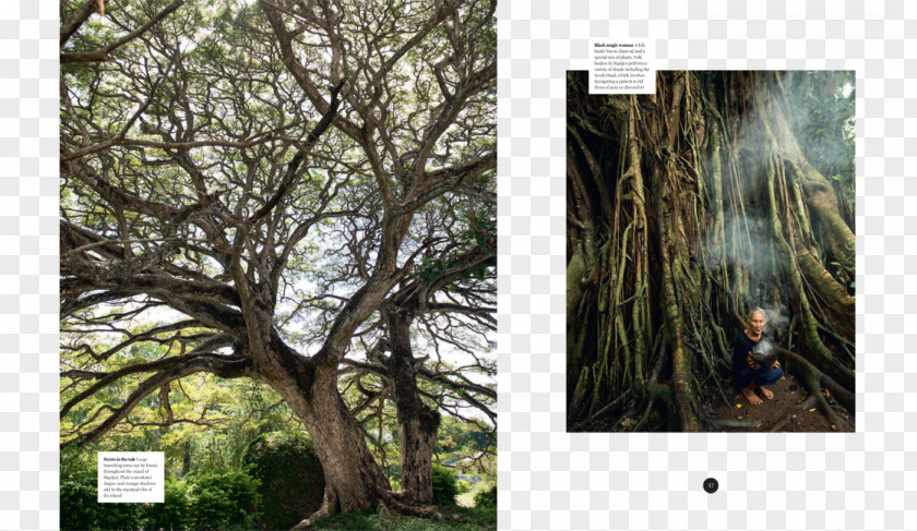 Photographer Tear Sheet Desktop Wallpaper Photography Printing PNG