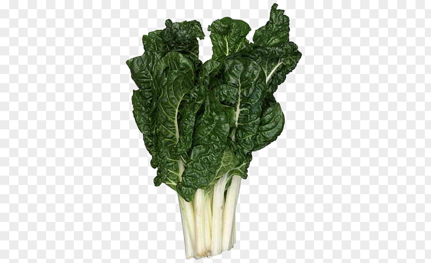 Silverbeet Fresh Romaine Lettuce Marks SUPA IGA Mansfield Chard Vegetable Grocery Store PNG