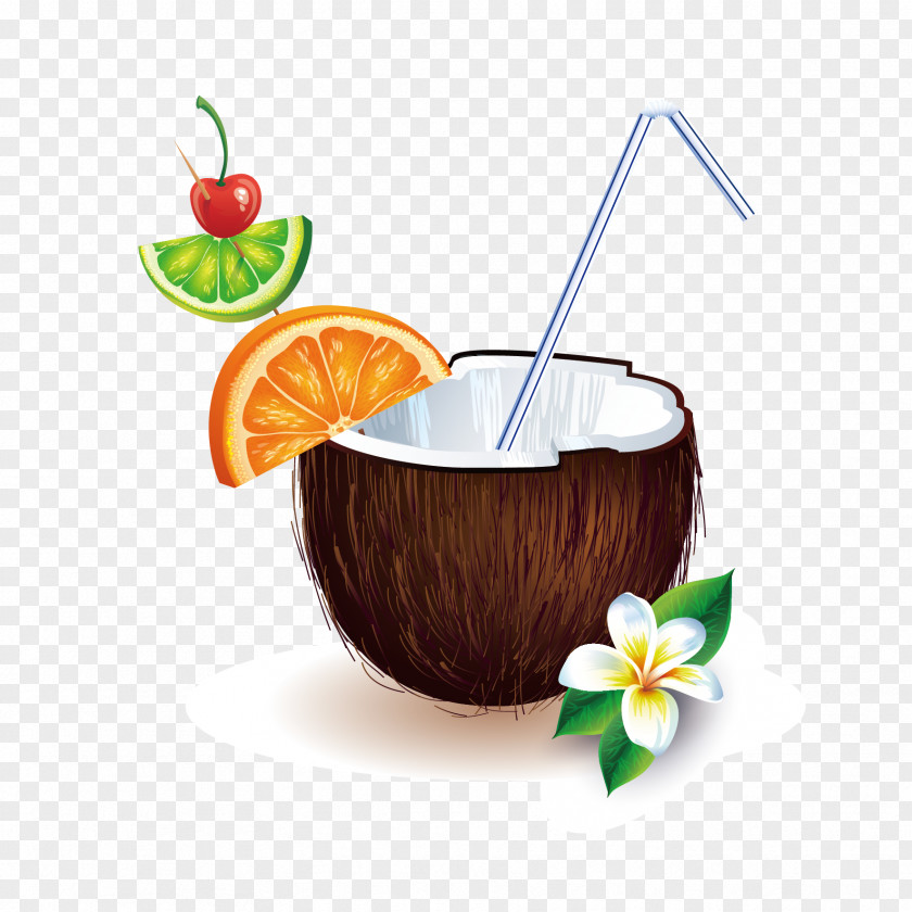 Vector Coconut Juice Water Euclidean Clip Art PNG
