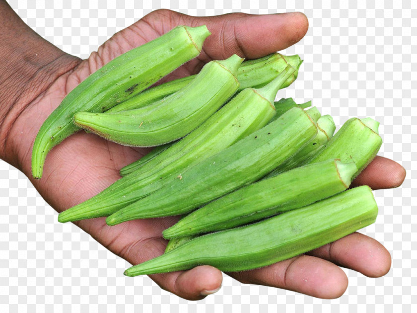 Vegetable Vegetarian Cuisine Okra Goan Tea PNG