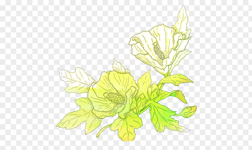 Yellow Hand-painted Trumpet Floral Design PNG