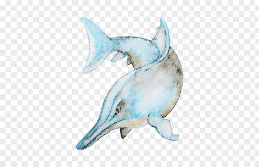 Blue Dolphin Watercolor Painting PNG
