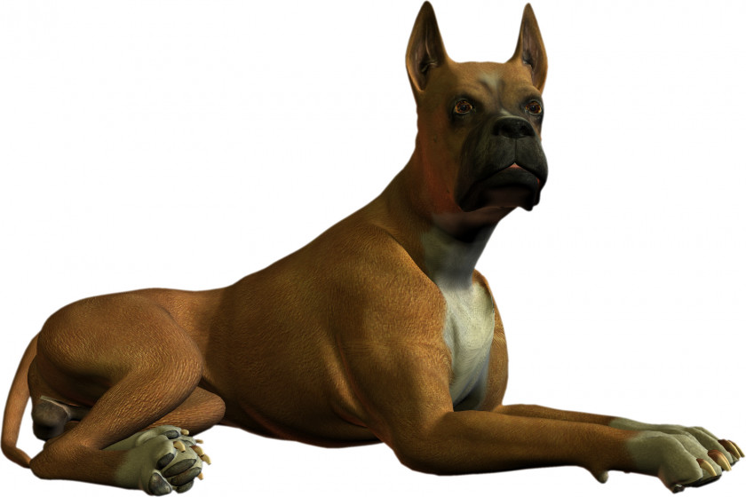 Dogs Boxer Clip Art PNG