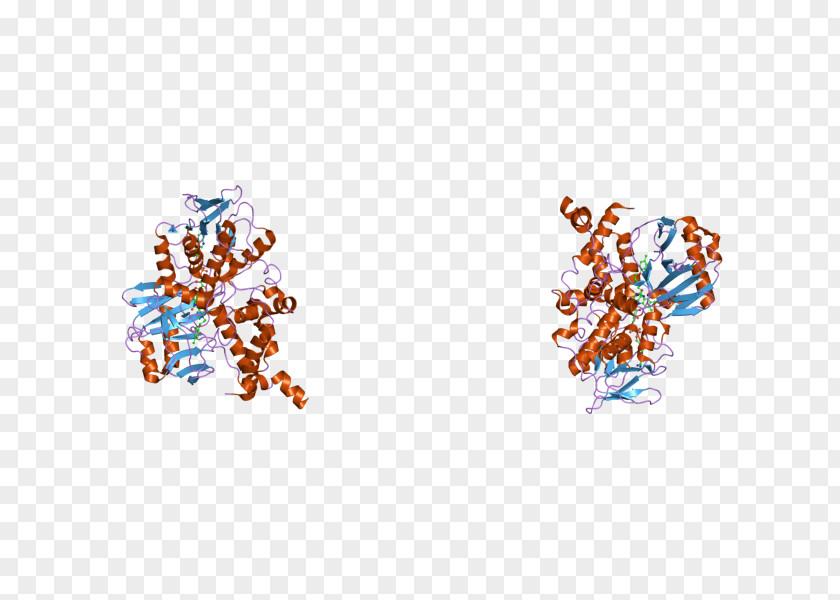 Monoamine Oxidase A Gene Neurotransmitter Enzyme PNG