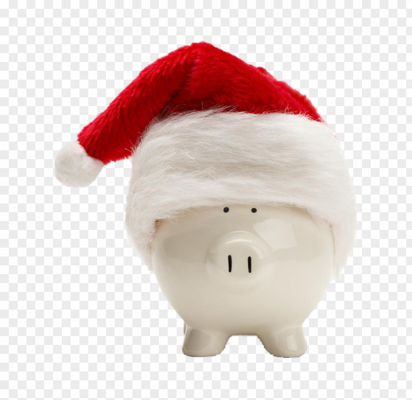 Piggy Bank With A Christmas Hat Santa Claus Domestic Pig PNG