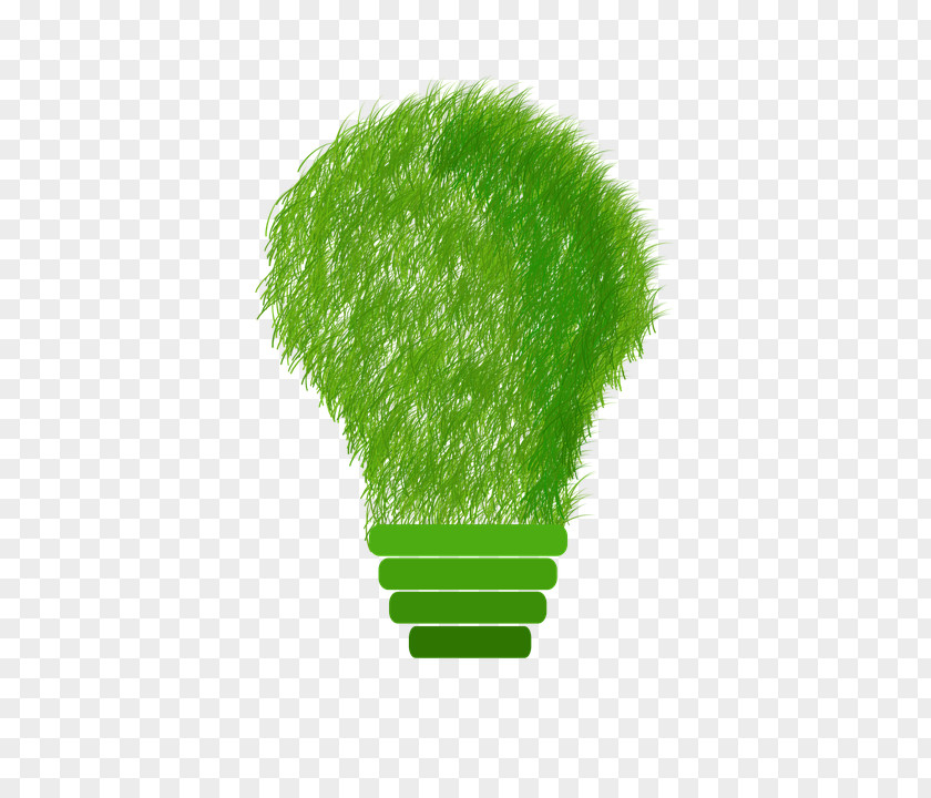 Save Electricity Transparent Sustainability Sustainable Development Energy Design PNG