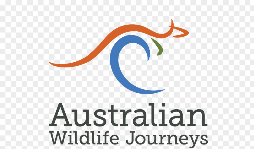 Tasmanian Devil Ningaloo Coast Wildlife Wombat PNG