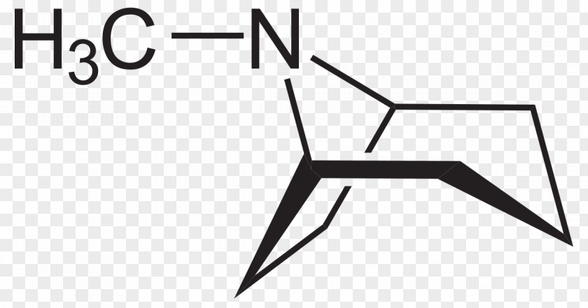 Cocain Cocaine Drug Cocaethylene Structure Ecgonine PNG