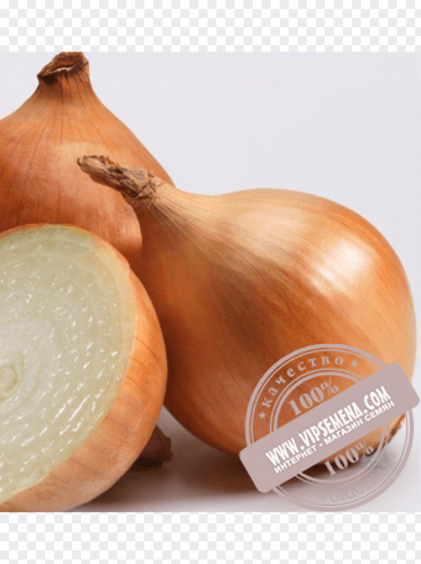 Onion Red Cultivar Vegetable Garlic PNG