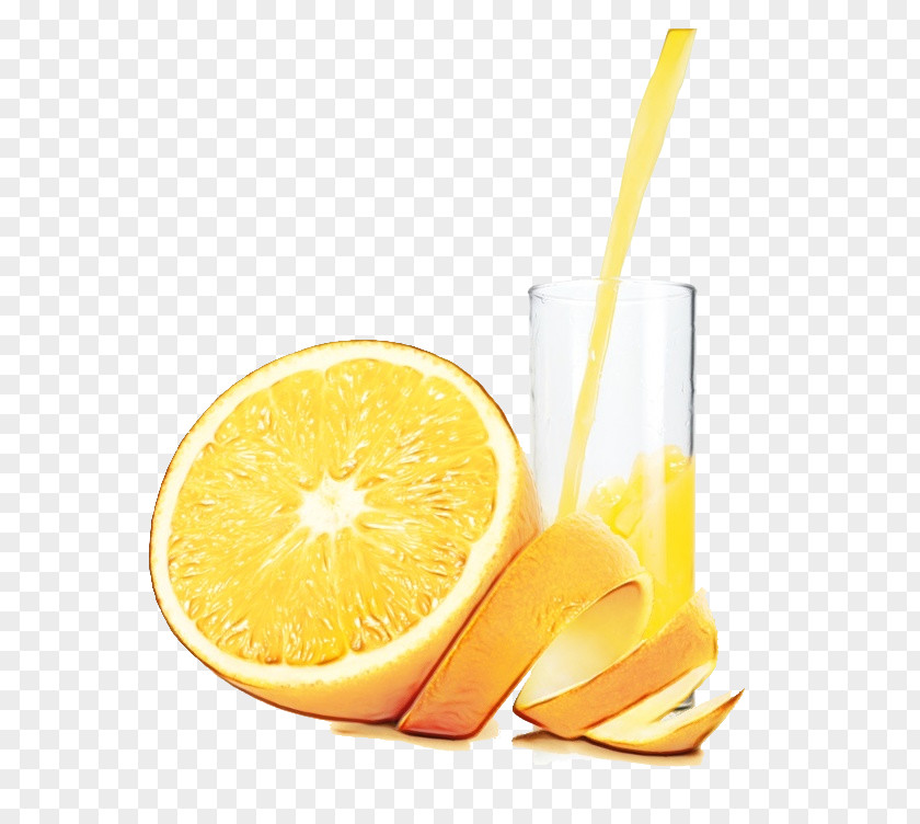 Orange PNG