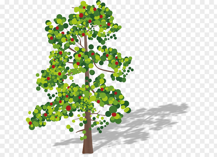 Tree Aspen Clip Art PNG