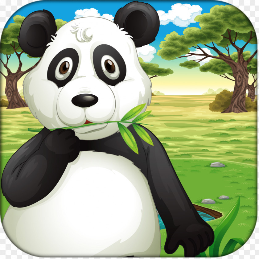 Bear Giant Panda Omnivore PNG