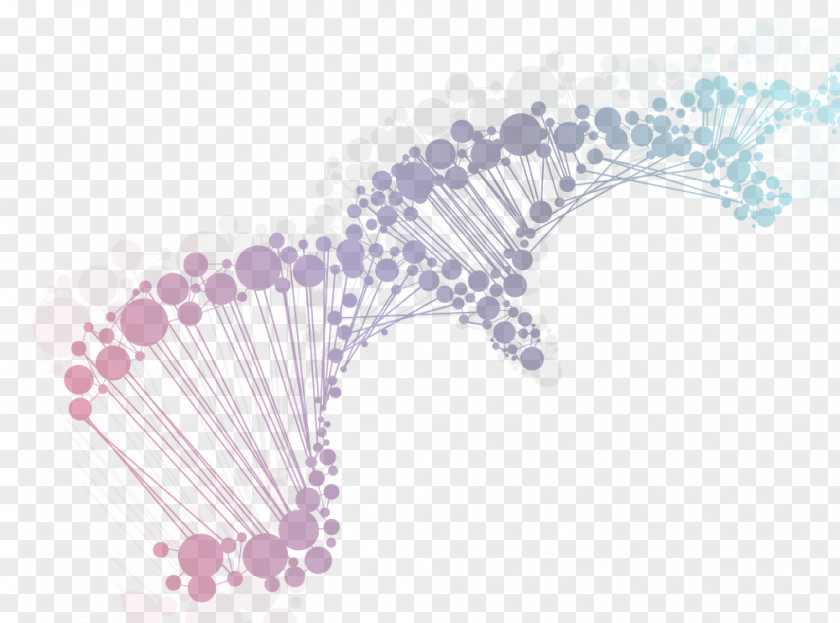 DNA MacBook Pro Genetics Nucleic Acid Double Helix PNG