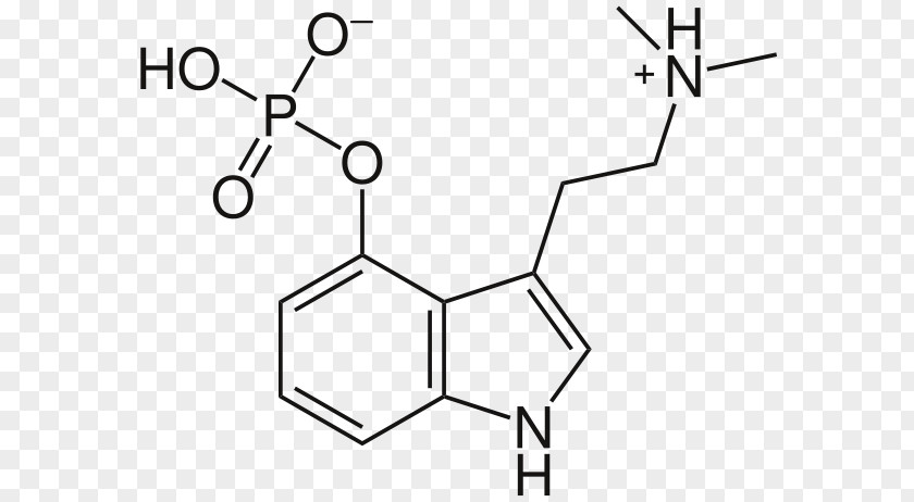 History Of Lysergic Acid Diethylamide Psilocybin Mushroom Psychedelic Drug Molecule Hallucinogen PNG