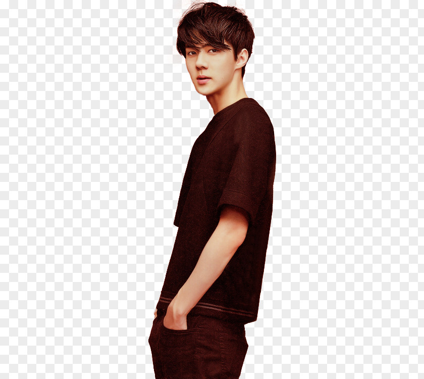 Sehun EXO-K Skin PNG