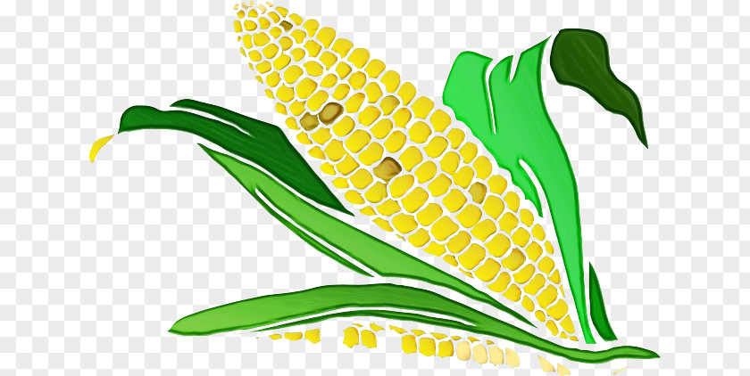 Vegetarian Food Plant Green Corn Yellow Leaf PNG