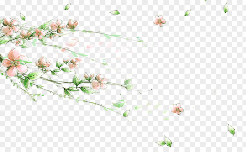 Peach Blossom Flower Desktop Wallpaper Image Petal PNG