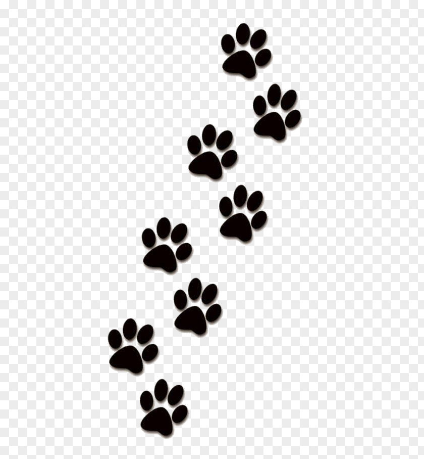 Creative Paw Prints PNG paw prints clipart PNG