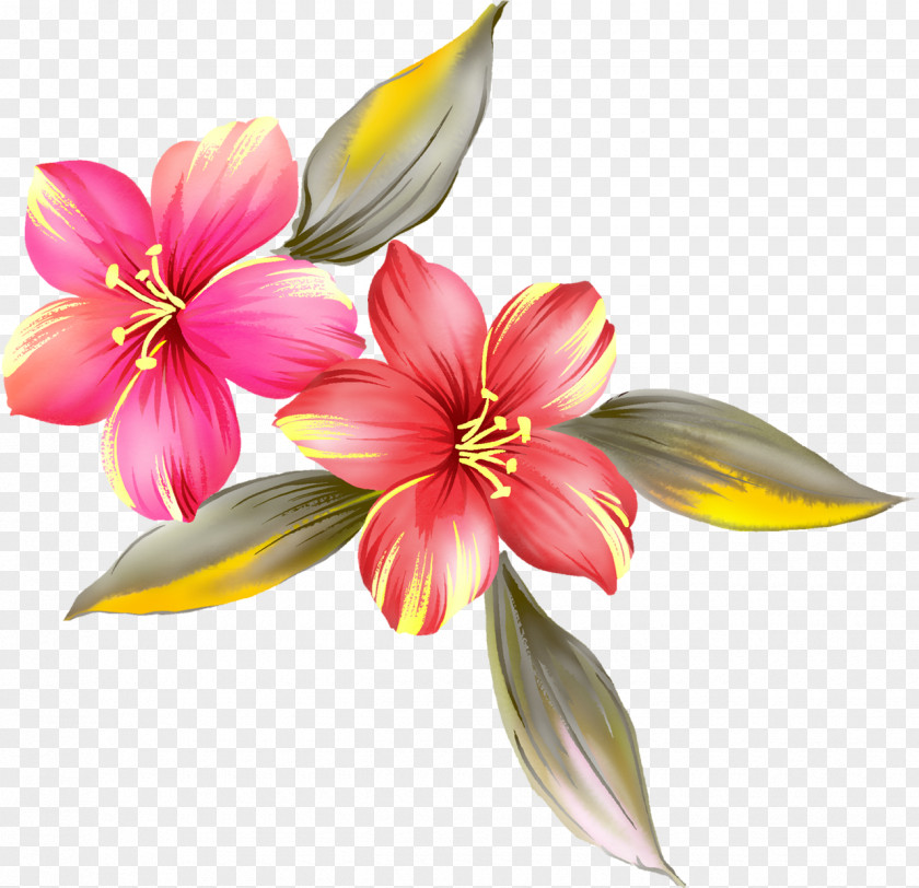 Crocus Flower Watercolor Painting PNG