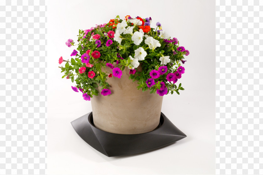 Elegant Poster Floral Design Cut Flowers Flowerpot Flower Bouquet PNG