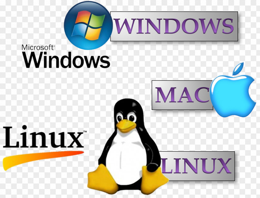 Linux Distribution Dell Unix Ubuntu PNG