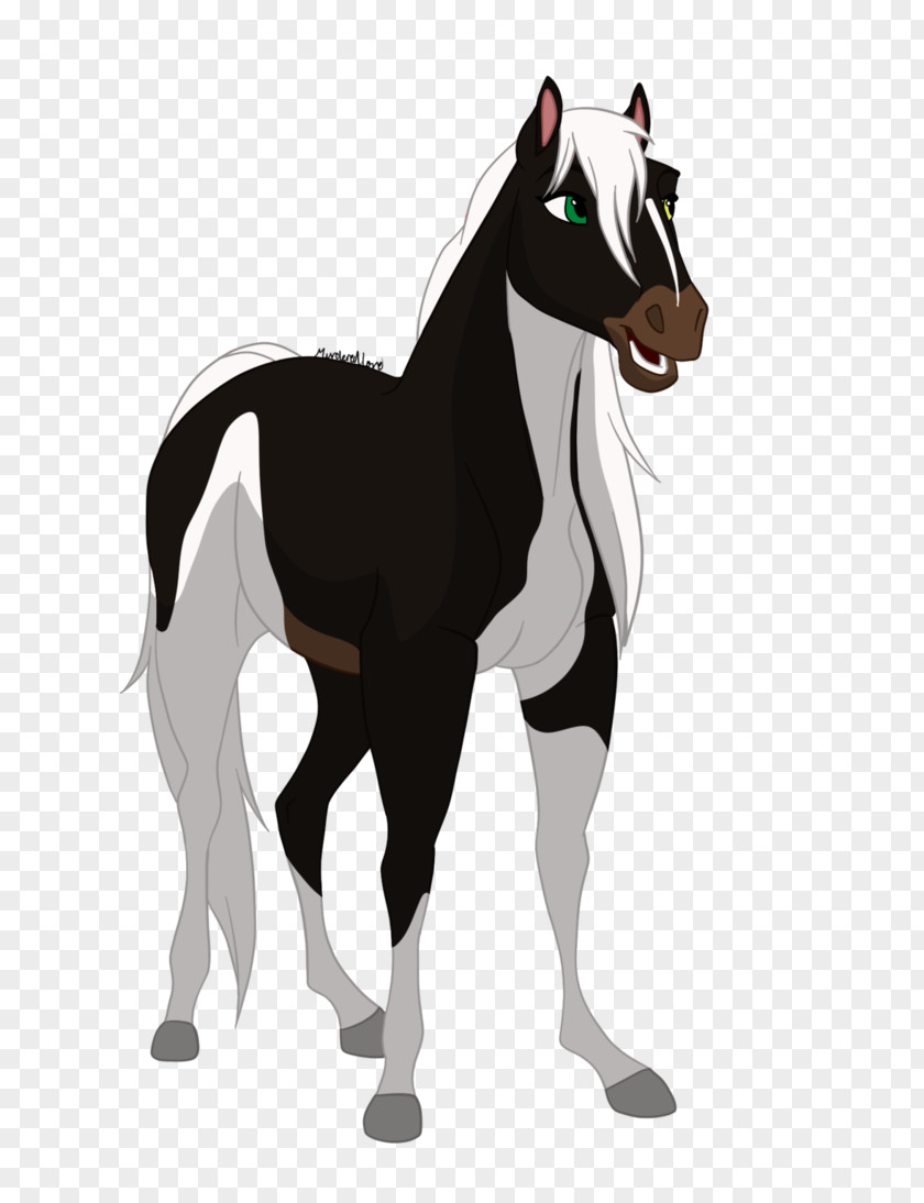 Mustang Pony Foal Stallion Drawing PNG
