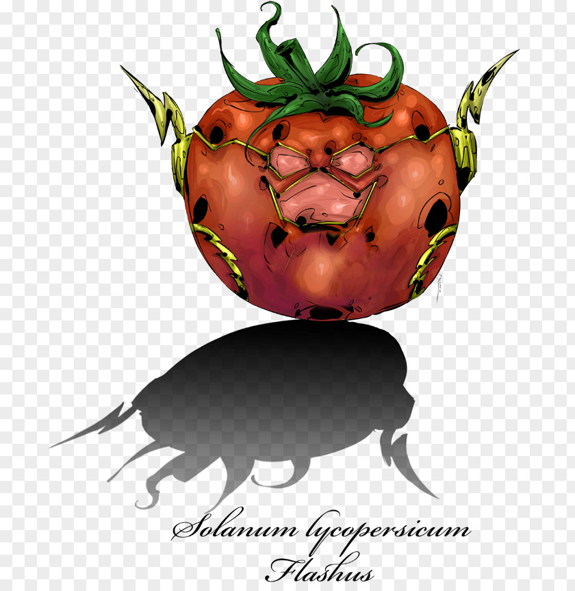 Tomato Natural Foods Clip Art PNG