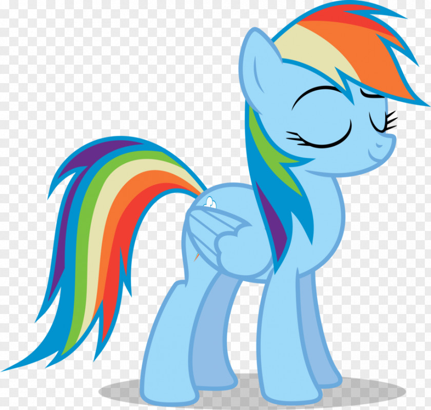 Confident Rainbow Dash Pinkie Pie Rarity Pony Twilight Sparkle PNG