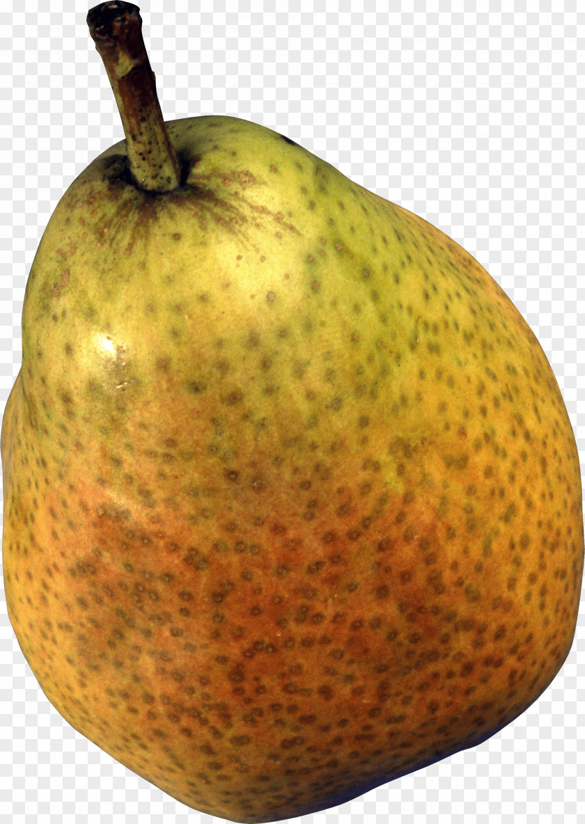 Pear Image European Papa Saga Princeton University Fruit PNG