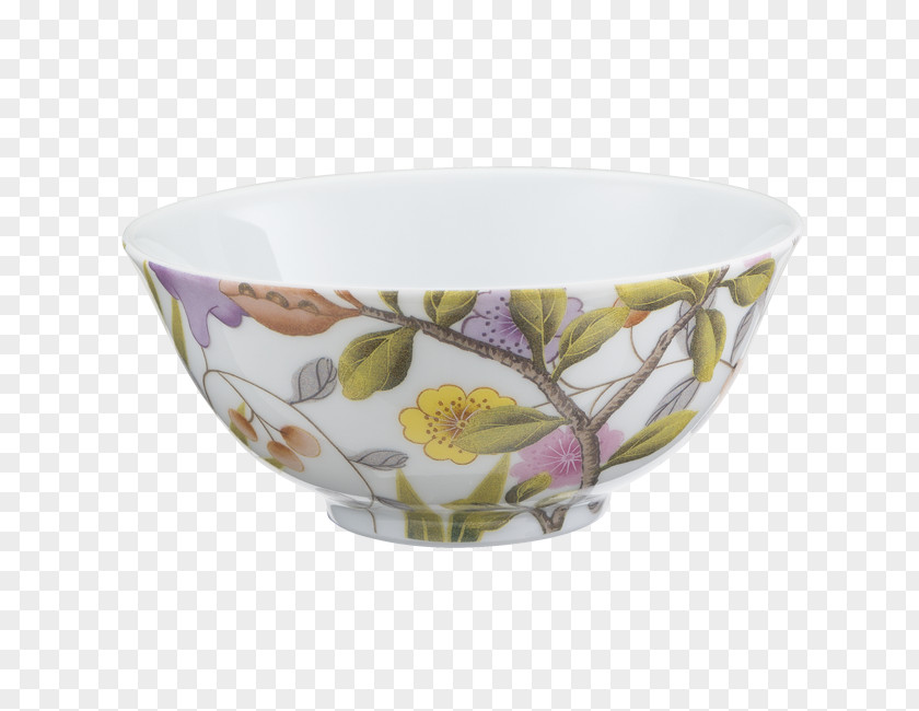 Porcelain Bowl Issuu, Inc. Tableware Flowerpot PNG