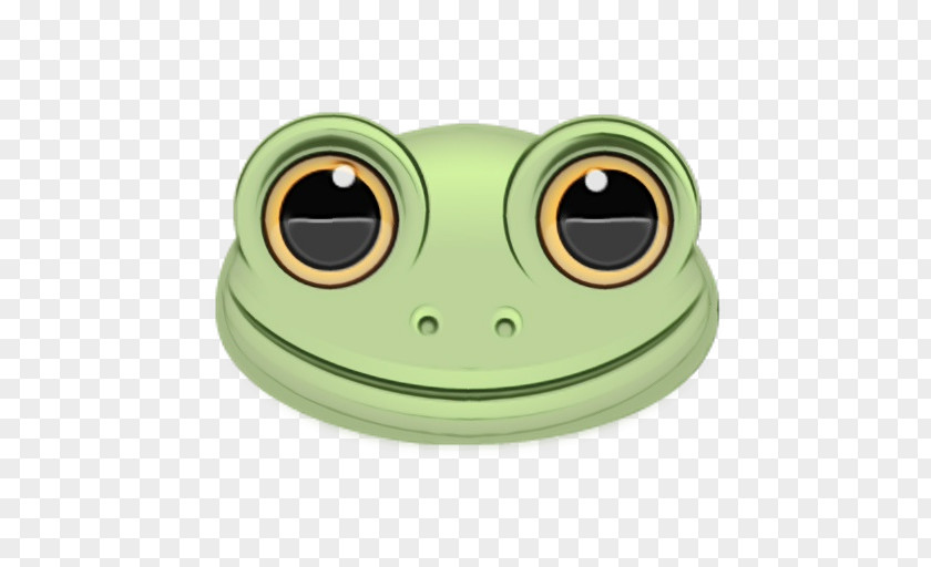 Smile True Frog Cartoon PNG