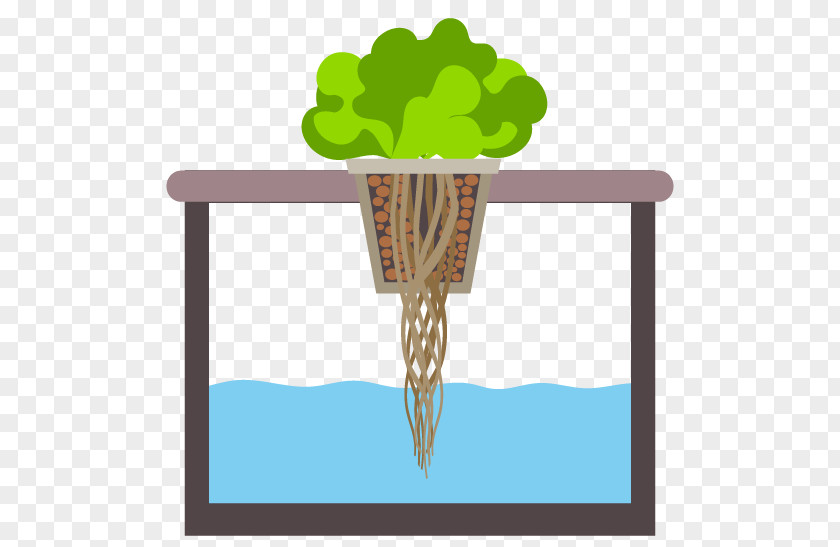 Vibrant Clipart Nutrient Hydroponics Deep Water Culture Aquaponics Miracle-Gro AeroGarden PNG