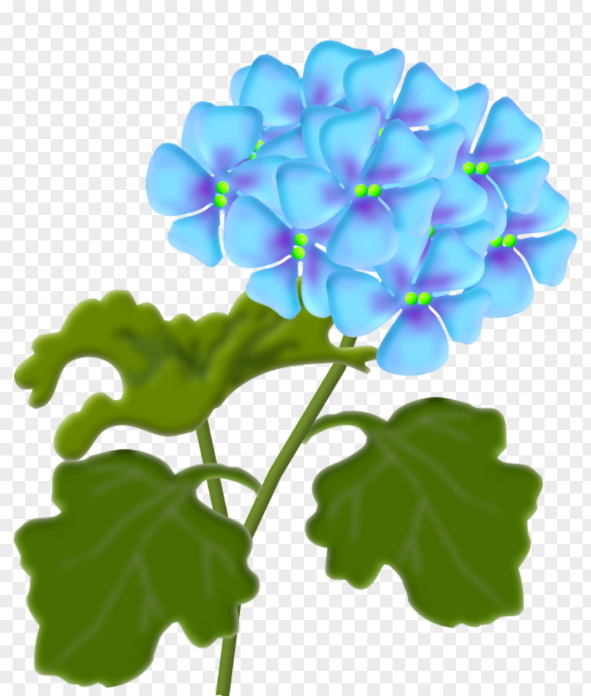 14 Flower Lantana Camara Clip Art PNG