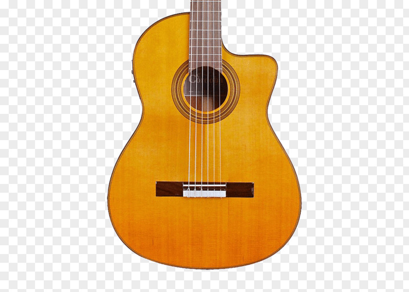 Acoustic Guitar Bass Acoustic-electric Classical Tiple PNG