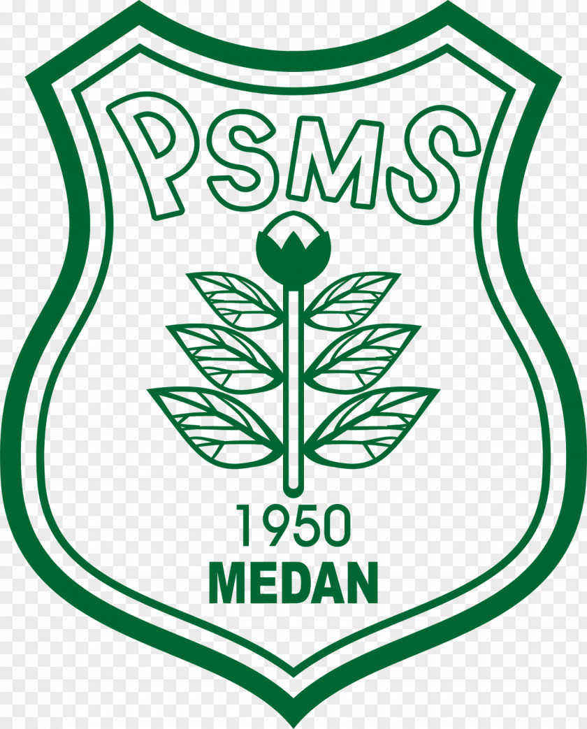 Football PSMS Medan Persib Bandung 2018 Liga 1 PNG