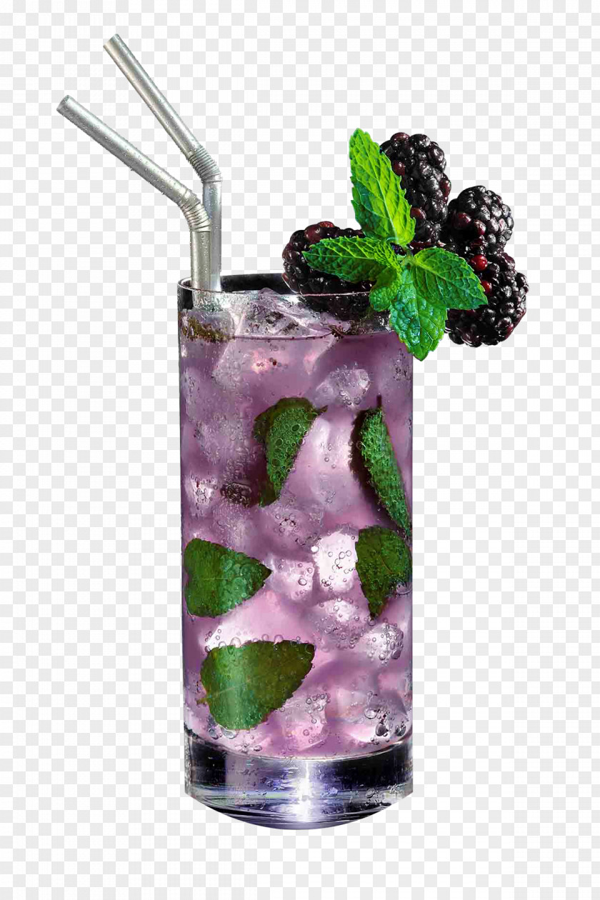 Mojito Non-alcoholic Drink Cocktail Blueberry Tea Rickey PNG