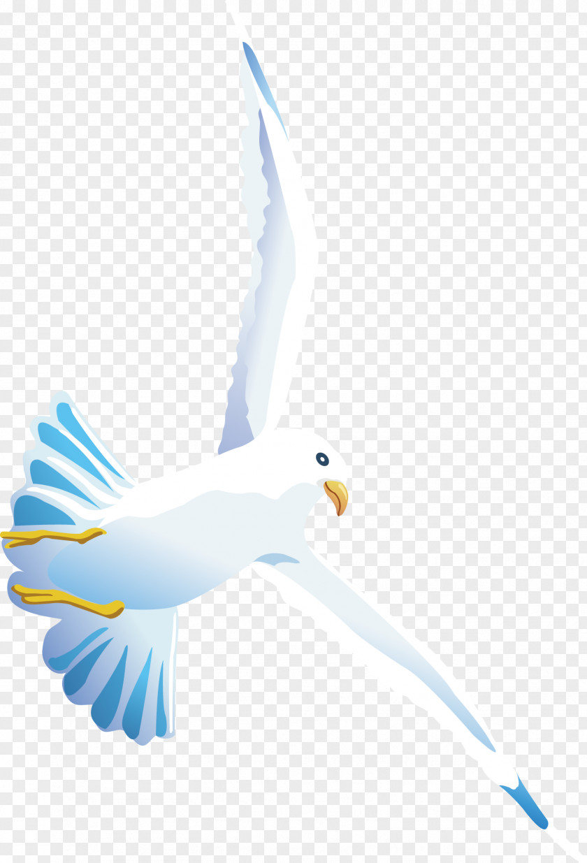 The Wild Goose Is A Design Swan Illustration PNG