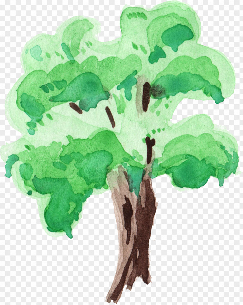 Watercolor Tree Painting Branch PNG