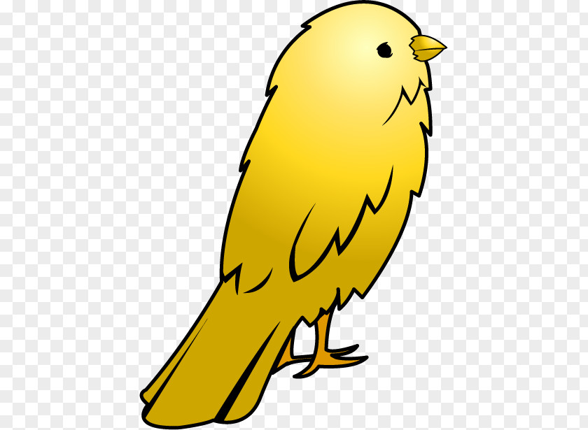 Yellow Animal Cliparts Domestic Canary Big Bird Clip Art PNG