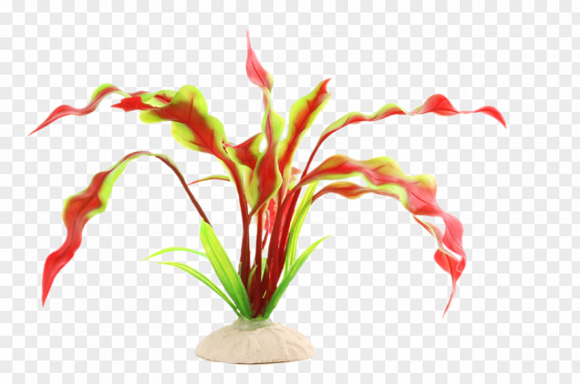 Fish Tank Decorative Landscaping Leaf Plants Small Wave PNG