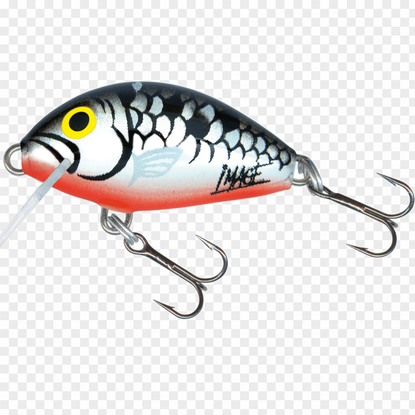 Fishing Plug Baits & Lures Angling Trout Bass PNG