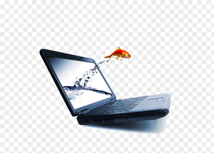 Laptop Communication Organization Business Management PNG