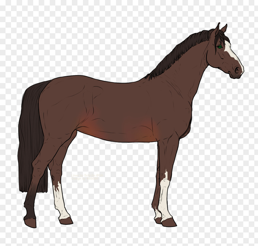 Mustang Stallion Pony Mare Clip Art PNG