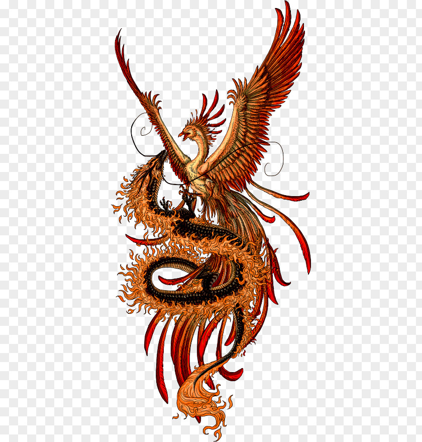 Phoenix Fenghuang Chinese Dragon China PNG