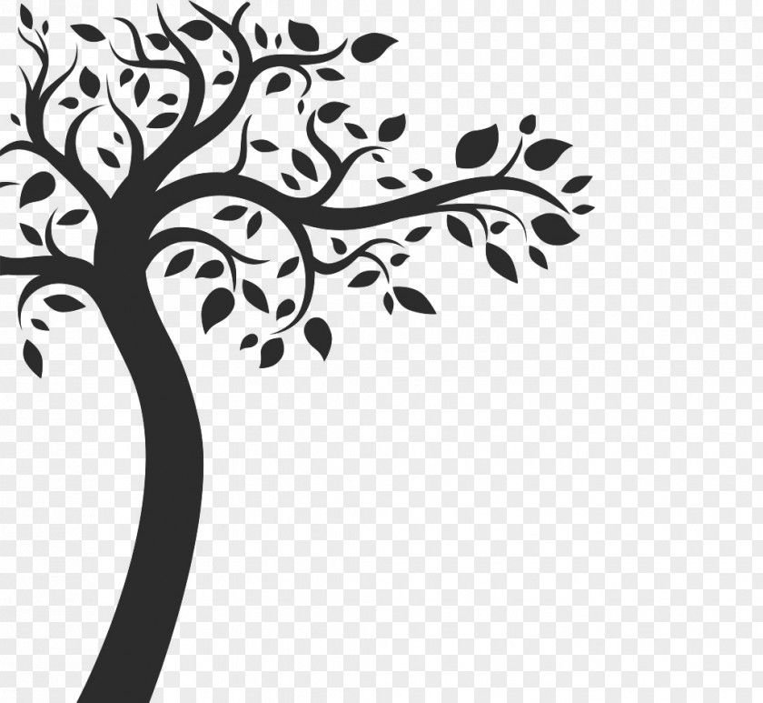 Trees Grow PNG grow clipart PNG