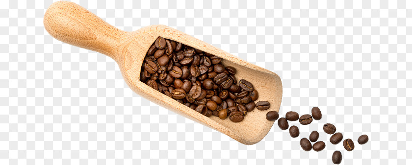 Coffee Jamaican Blue Mountain Cafe Café Au Lait Espresso PNG