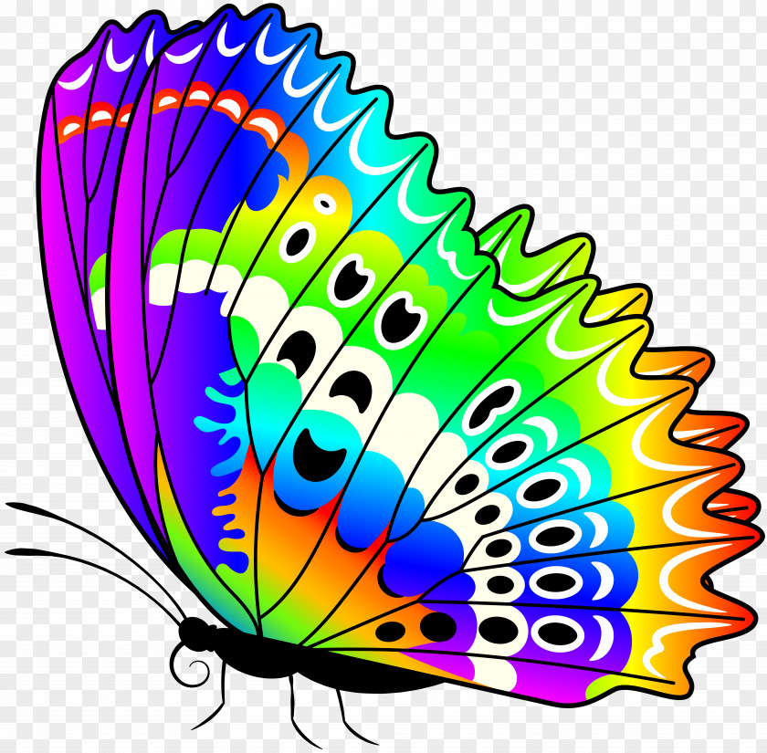 Colorful Illustrations Monarch Butterfly Clip Art PNG