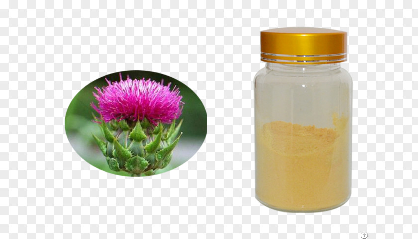 Flower Glass Bottle Milk Thistle PNG