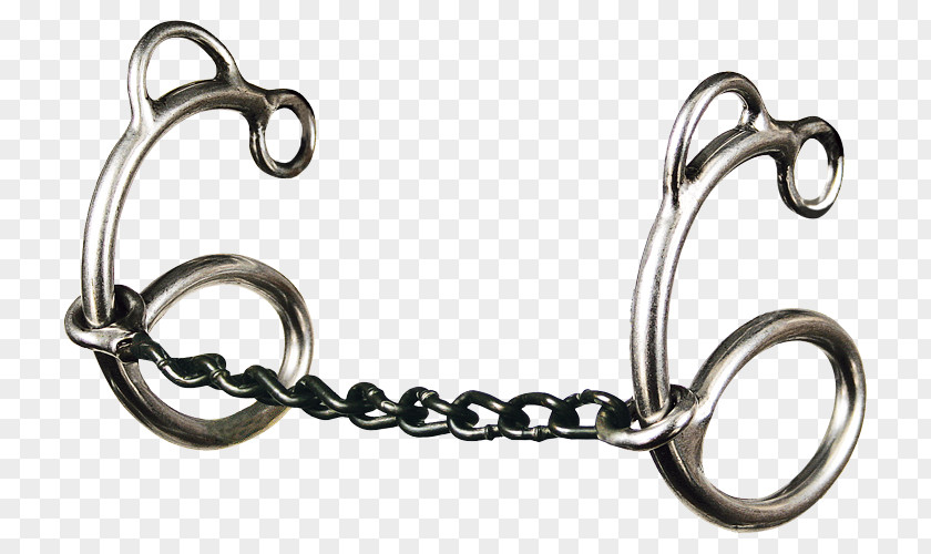 Gag Bit Horse Guard Curb Chain PNG bit guard chain, horse clipart PNG